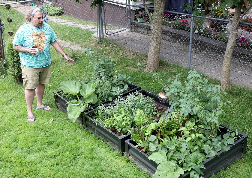 Sam Zimmerman talks about being able to grow things in his own garden
