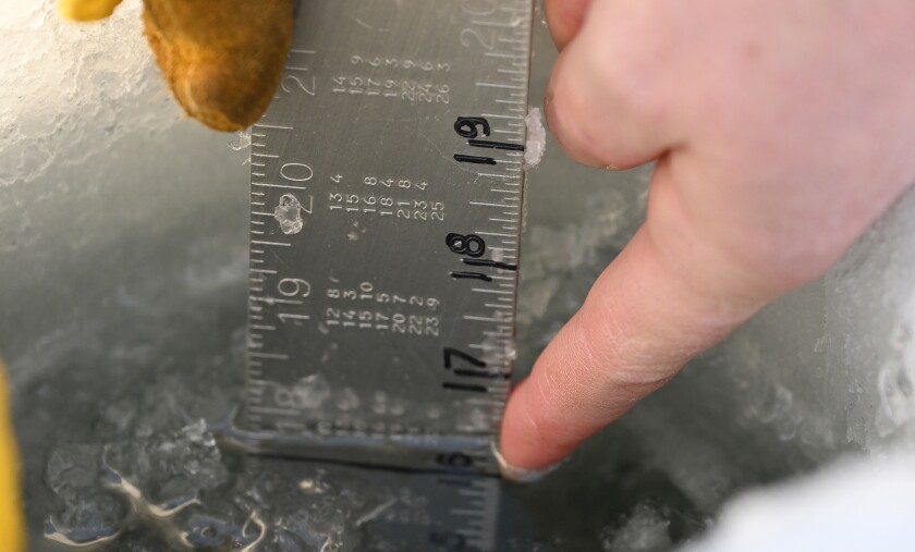 A ruler measures ice thickness