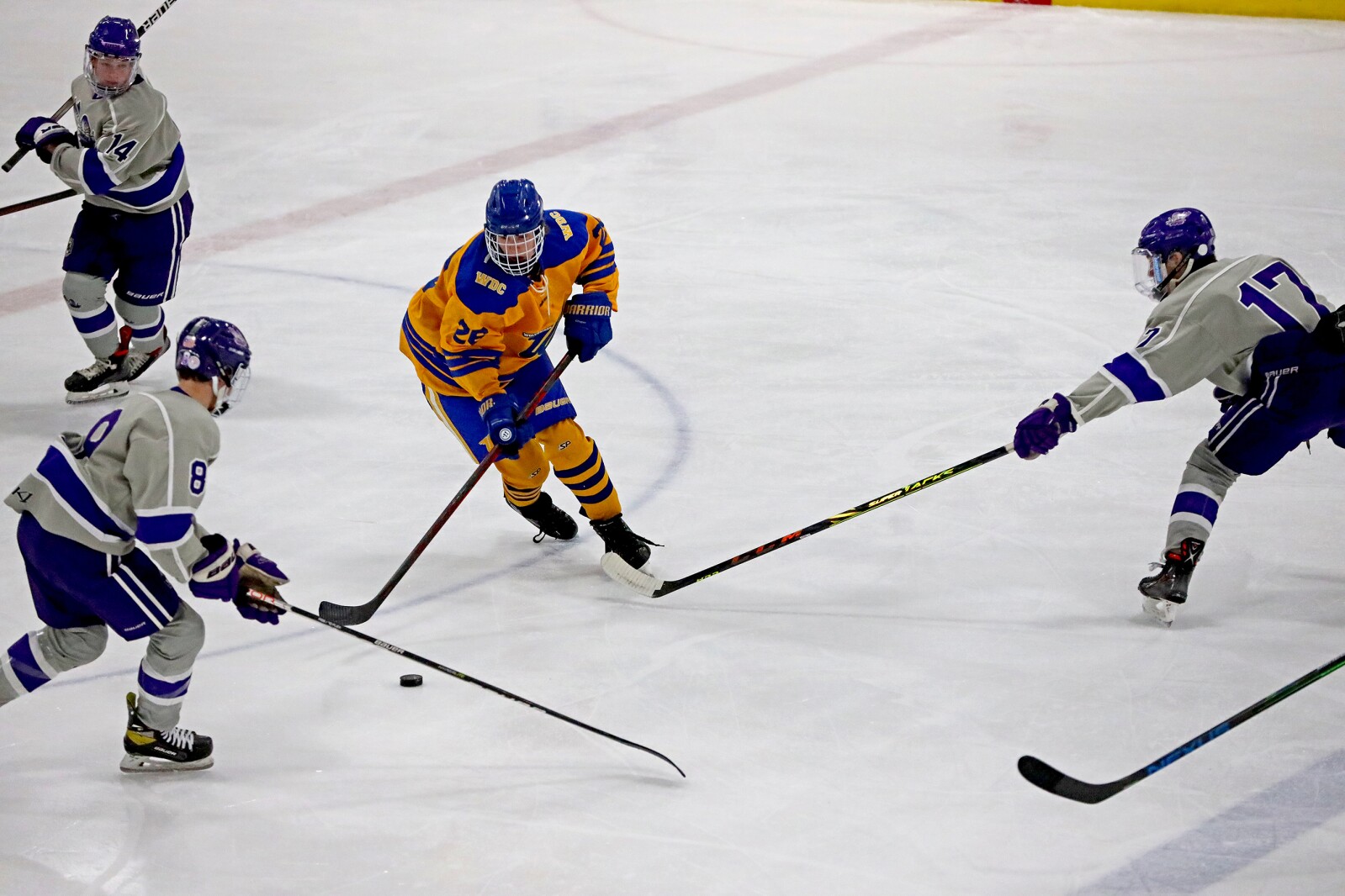 Little Falls vs Wadena Deer Creek boys hockey gallery (6).jpg