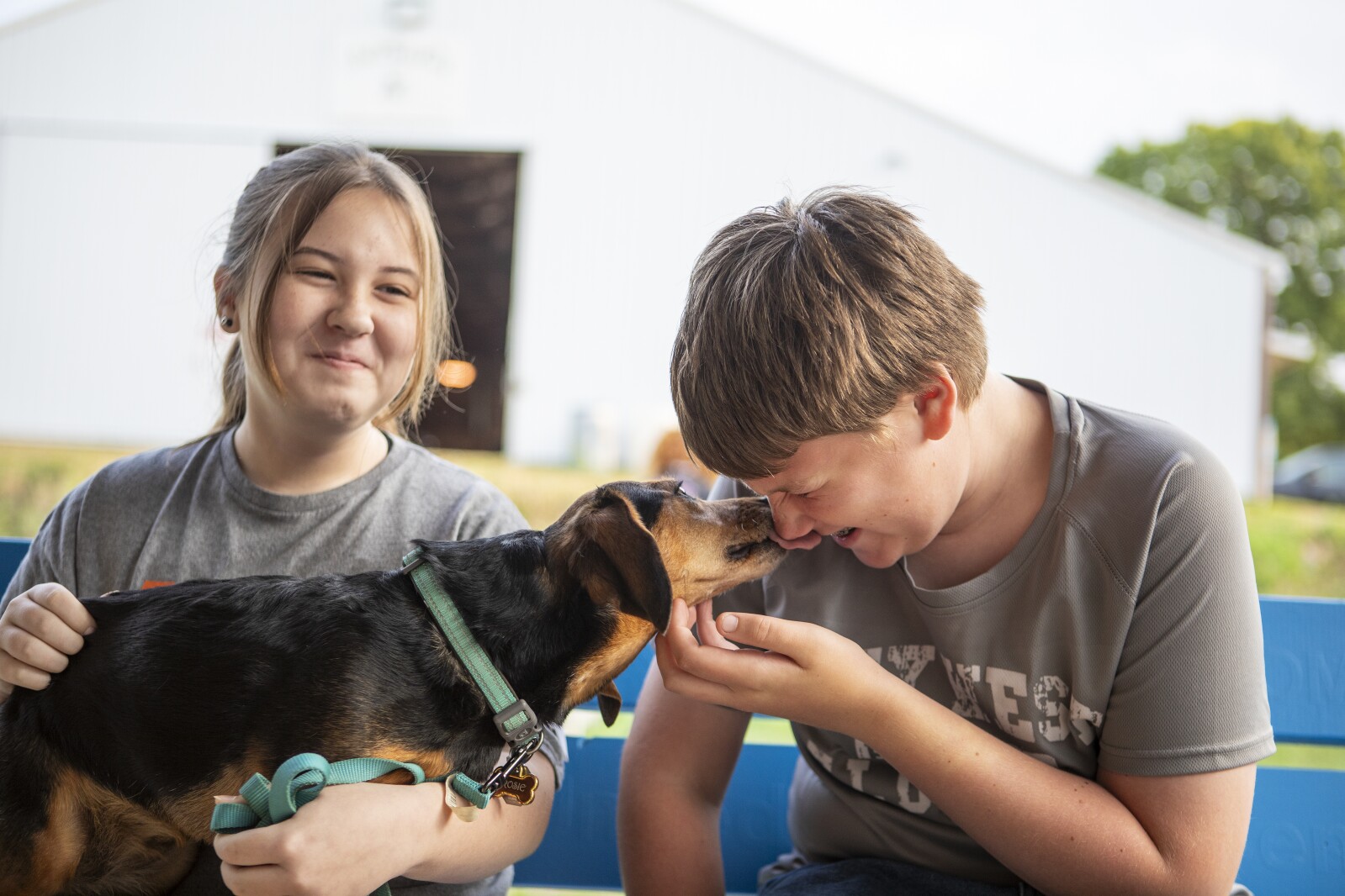 Photos: Kandiyohi County Fair hosts dog agility competition - West ...