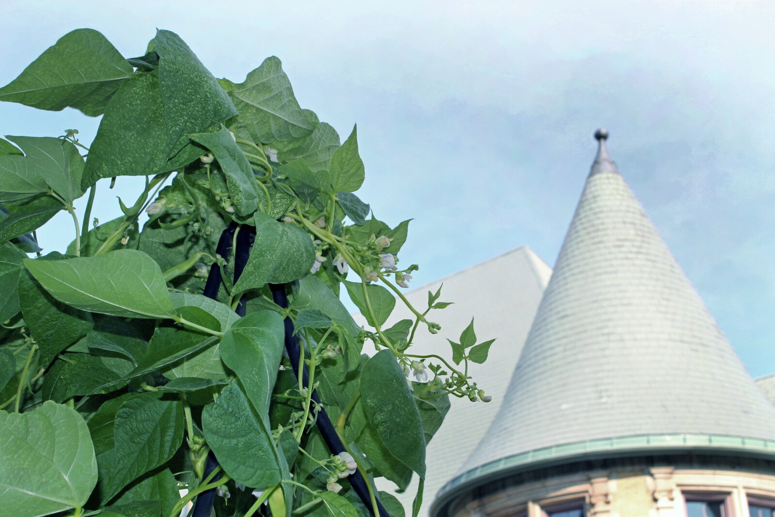 Photos Aug 16 Issue Duluth News Tribune News Weather And Sports photos-aug-16-issue-duluth-news-tribune-news-weather-and-sports