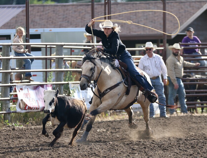 A Few Extras: The photographer's view - Jamestown Sun | News, weather ...