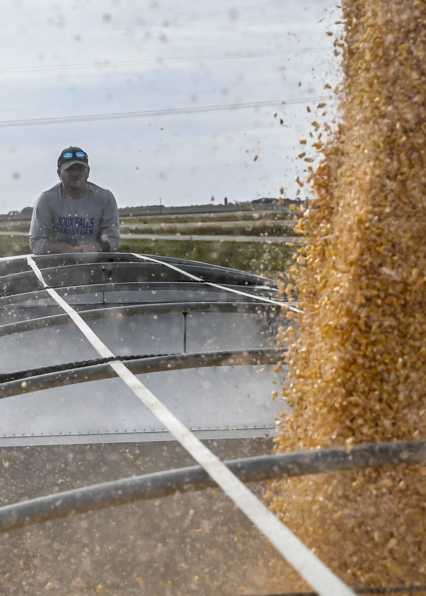 100720.A.DR.HARVEST1.jpg