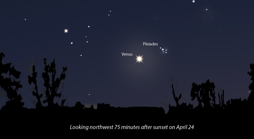 Venus Pleiades April 23.jpg