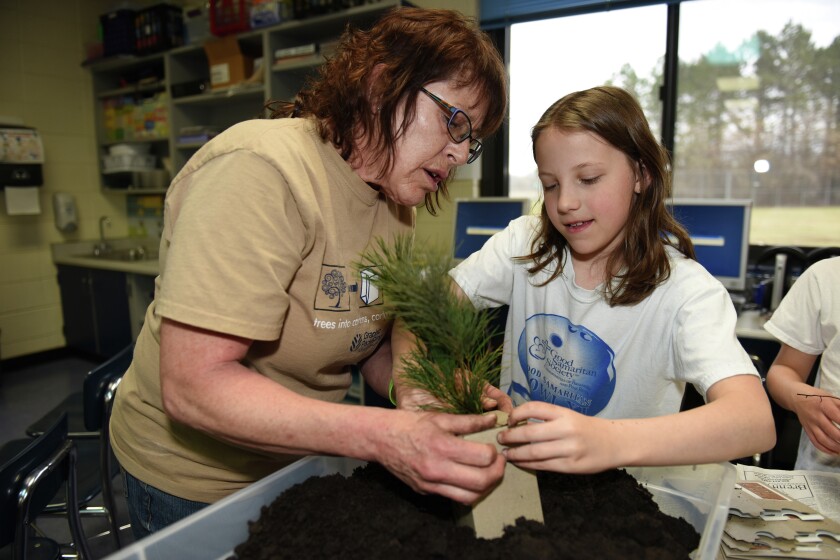 Graphic Packaging International employee Linda Travey (left) helps her granddaughter Marissa Svoboda, 4th grader at Riverside School, position a white pine seedling in a biodegradeable carton Friday. In celebration of Earth week, GPI employees visited Garfield and Riverside schools to educate students about the lifecycle of trees and cartons. Students were able to bring home a seedling in a recyclable container. Brainerd Dispatch/Steve Kohls