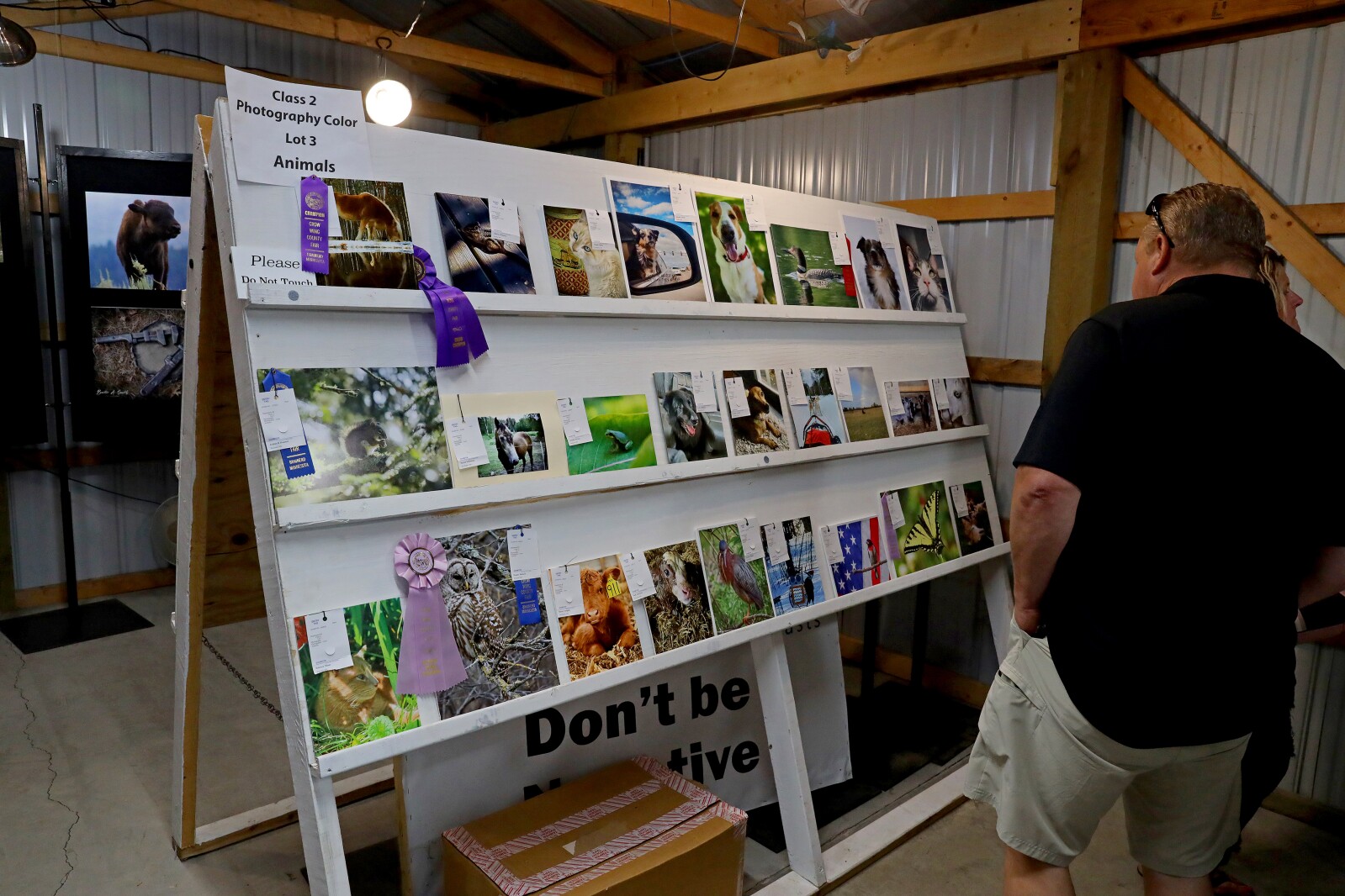 Crow Wing County Fair Aug. 2022.