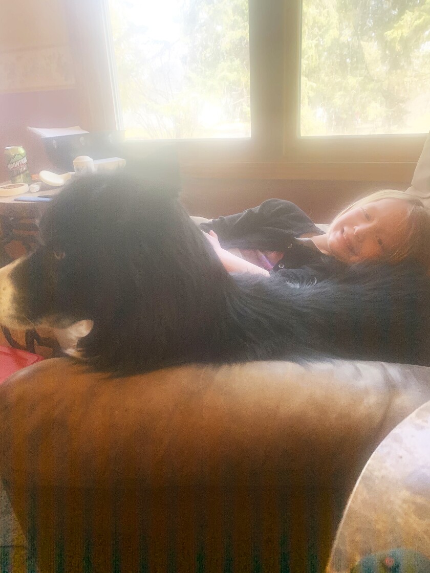 Black dog with girl