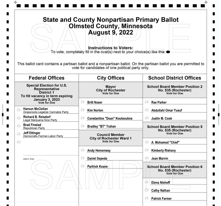 ballot back sample.jpg