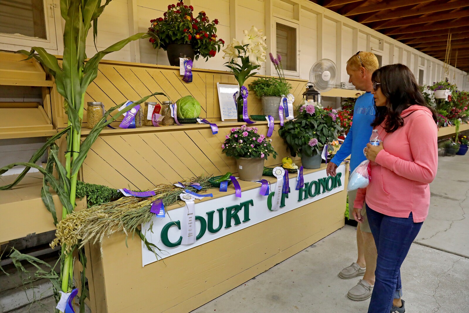 Crow Wing County Fair Aug. 2022.