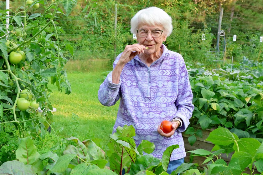 A green leafy garden in the foreground. A woman holding a tomato eats a bean.