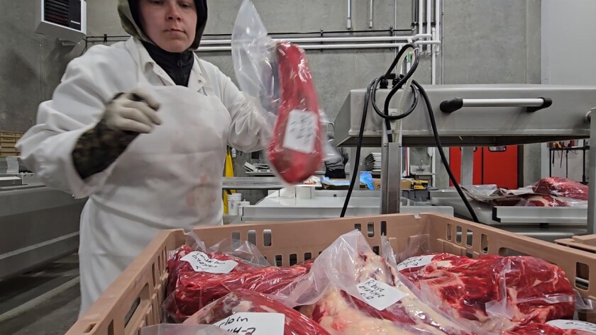 'Immediate economic impact': Meat processing plant in Waubun a boost ...