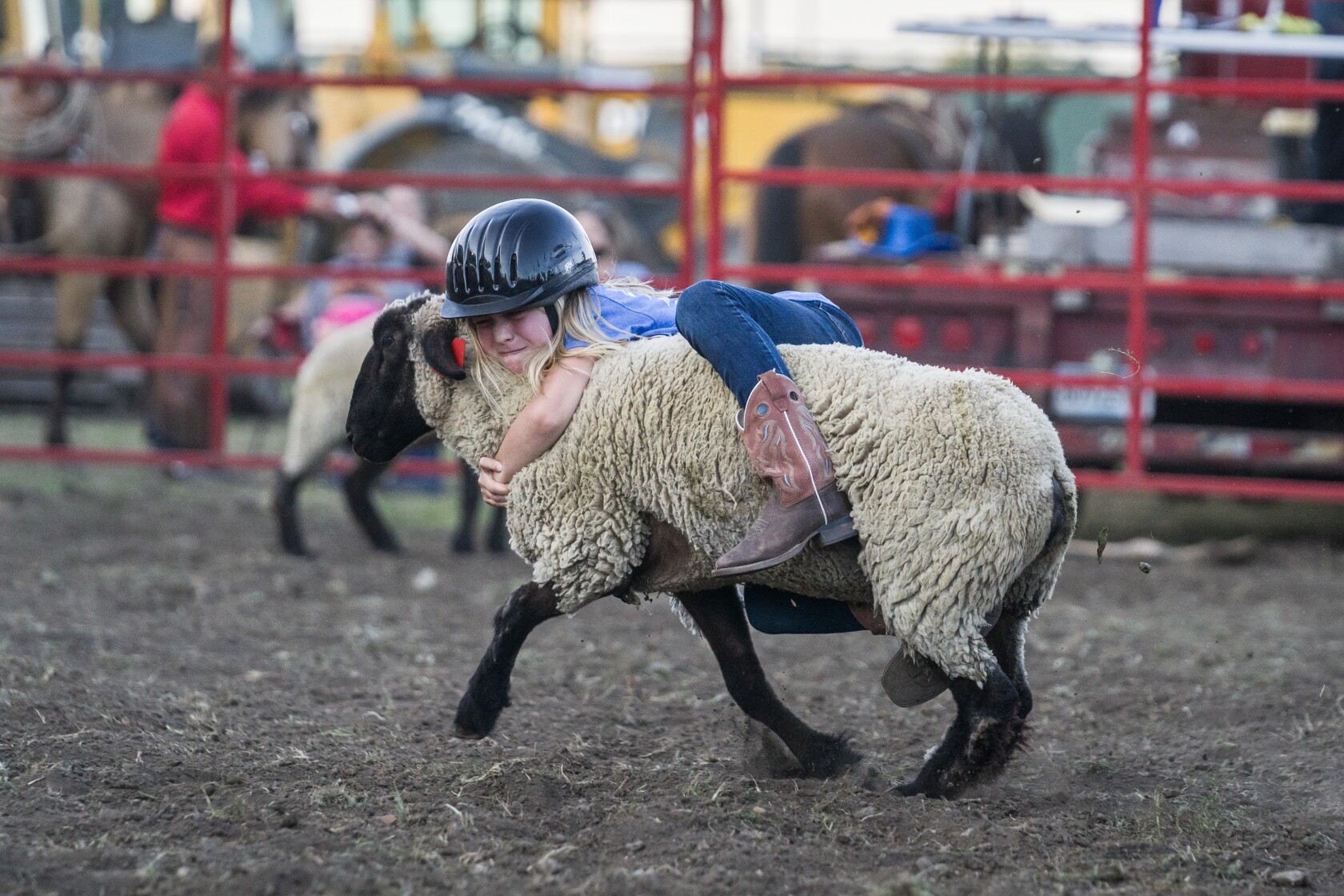 Photos: Olmsted County Fair 2022 - Post Bulletin | Rochester Minnesota Photos: Olmsted County Fair 2022 - Post Bulletin | Rochester Minnesota