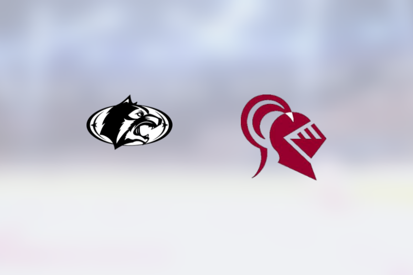 img_500214444_rinklive.png