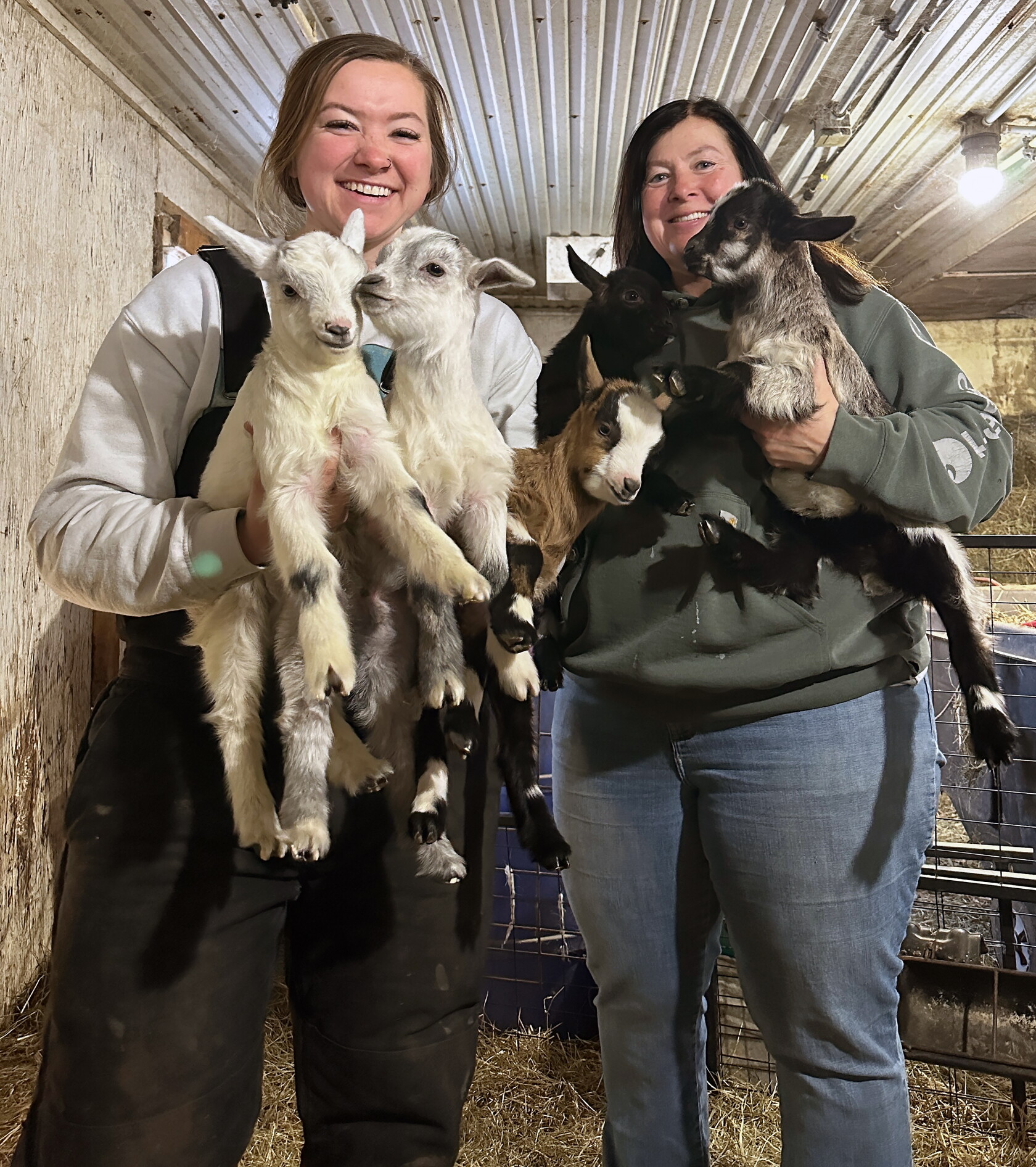 Kenneth Many Goats Kenneth family bought fainting goats for the laughs, then turned it ...