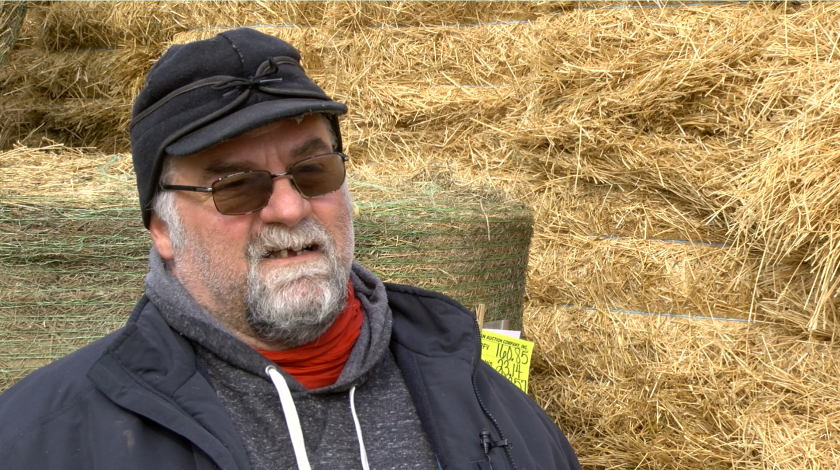 Les Bell at the hay auction in Sauk Centre, Minnesota.