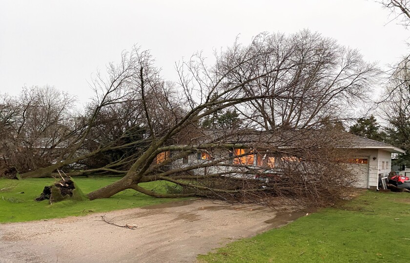 Storm 1.jpg