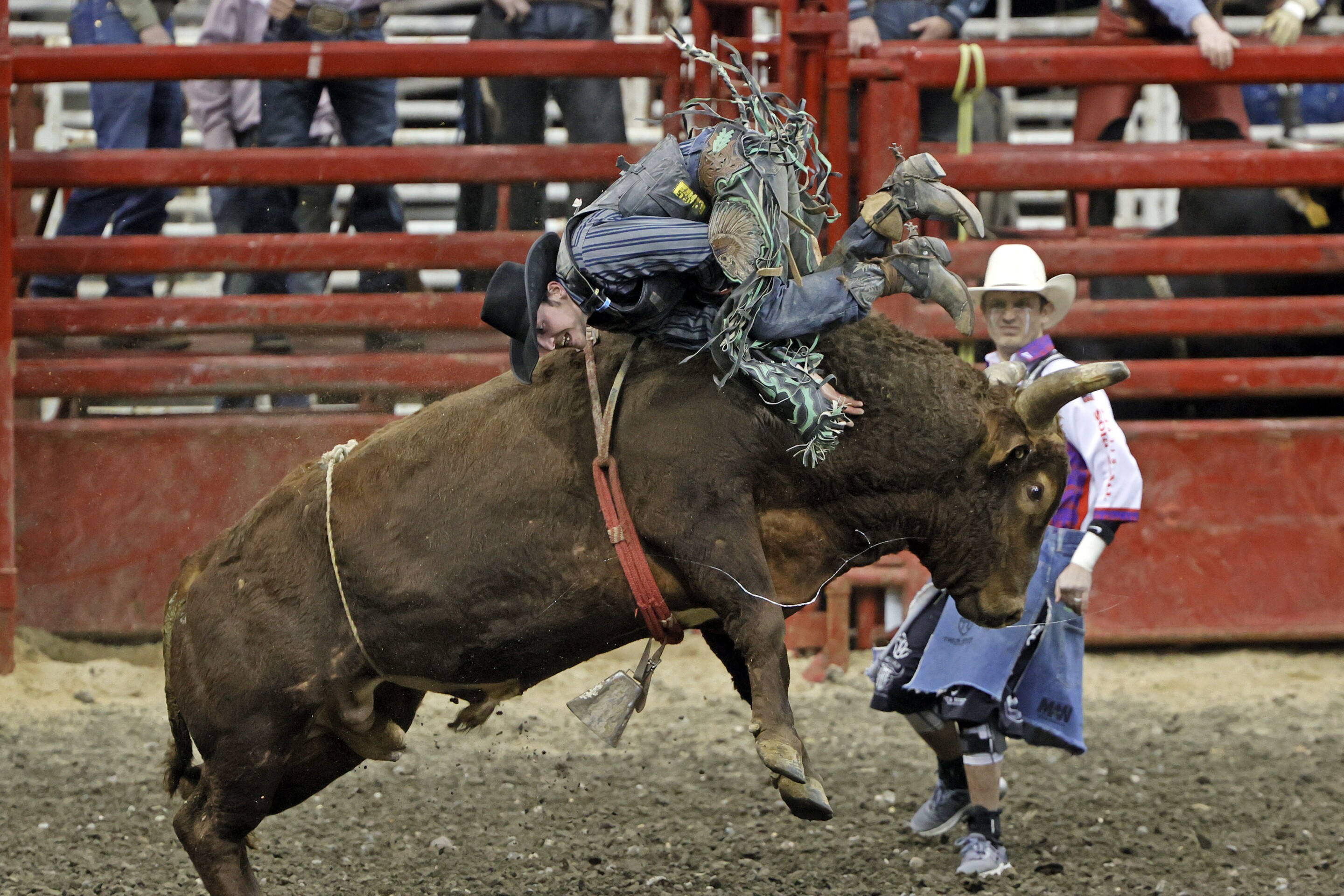 PHOTOS: PRCA Rodeo makes rowdy return to Fargodome - InForum | Fargo ...