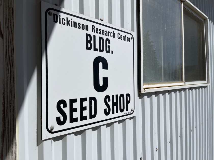 The seed store, or lab, at North Dakota State University's Dickinson Research Extension Center, pictured above, was built in the 1960s and used as a green dumpster before it was used by scientists for agricultural research.