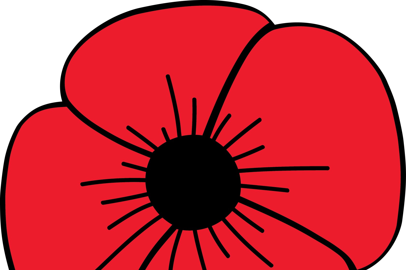 Buddy Poppy Days planned - Brainerd Dispatch | News, weather, sports ...