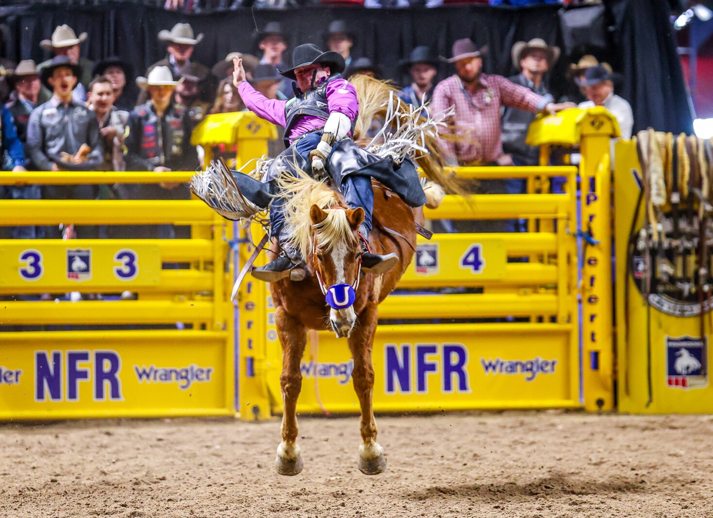 Pro rodeo: Granite Falls man wins special morning round - West Central ...