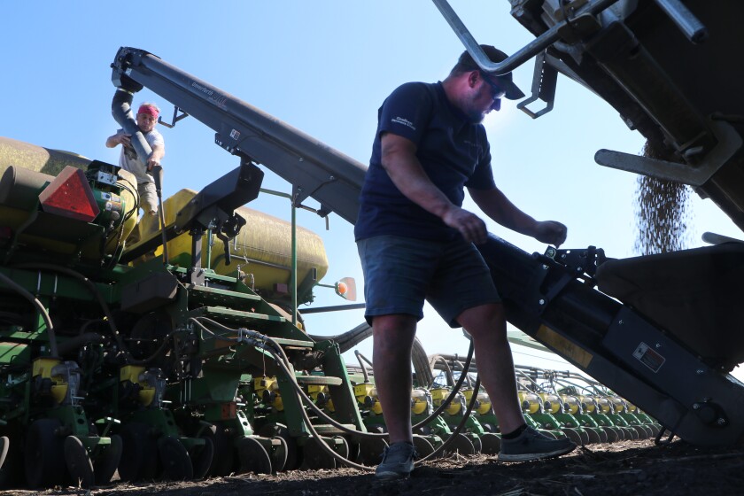 A man runs an auger spout atop an air seeder while another mans the auger on a "tender truck" during soybean planting.