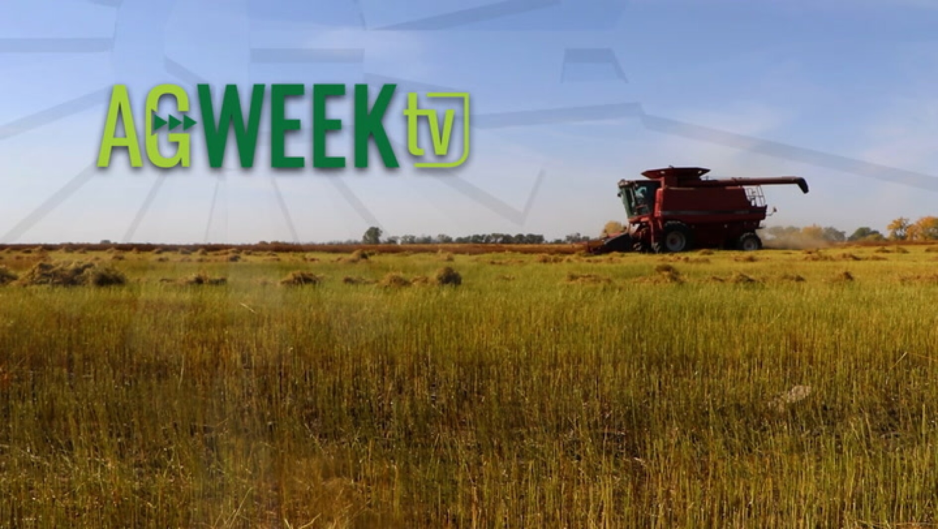AgweekTV Full Show Starter flock, harvest outlook, corn drying