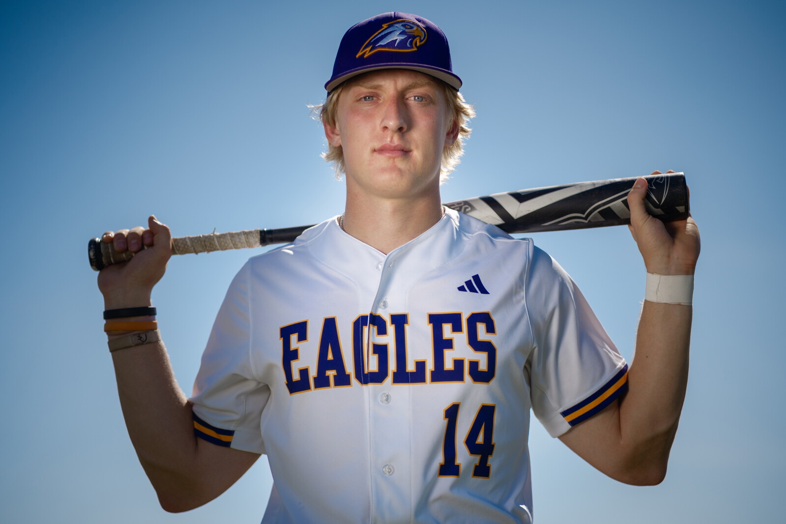 Southeastern Minnesota is home to 2 Mr. Baseball finalists - Post ...