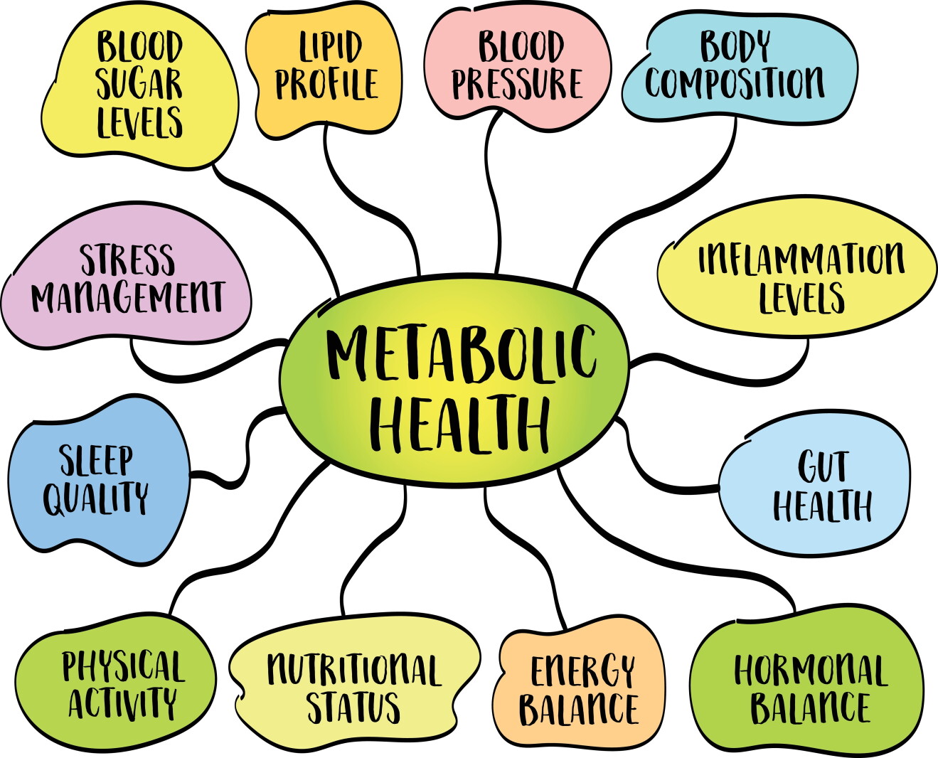 Metabolic health symposium aims to educate community – Brainerd Dispatch Metabolic health symposium aims to educate community – Brainerd Dispatch