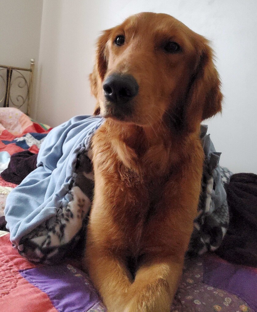 Lena