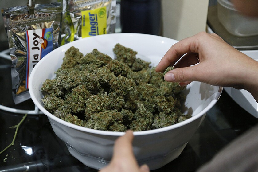 601144+pot.jpg