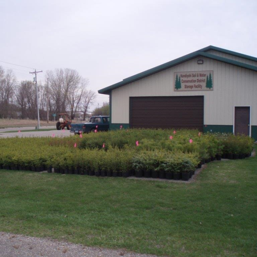 Swcd Tree Sale Kandiyohi County SWCD continues to support trees as a soil and wildlife ...