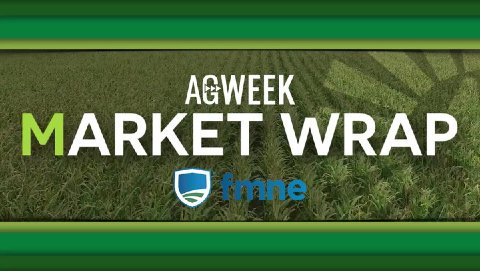 Grain markets finish with 'good gains' in a short week of trading