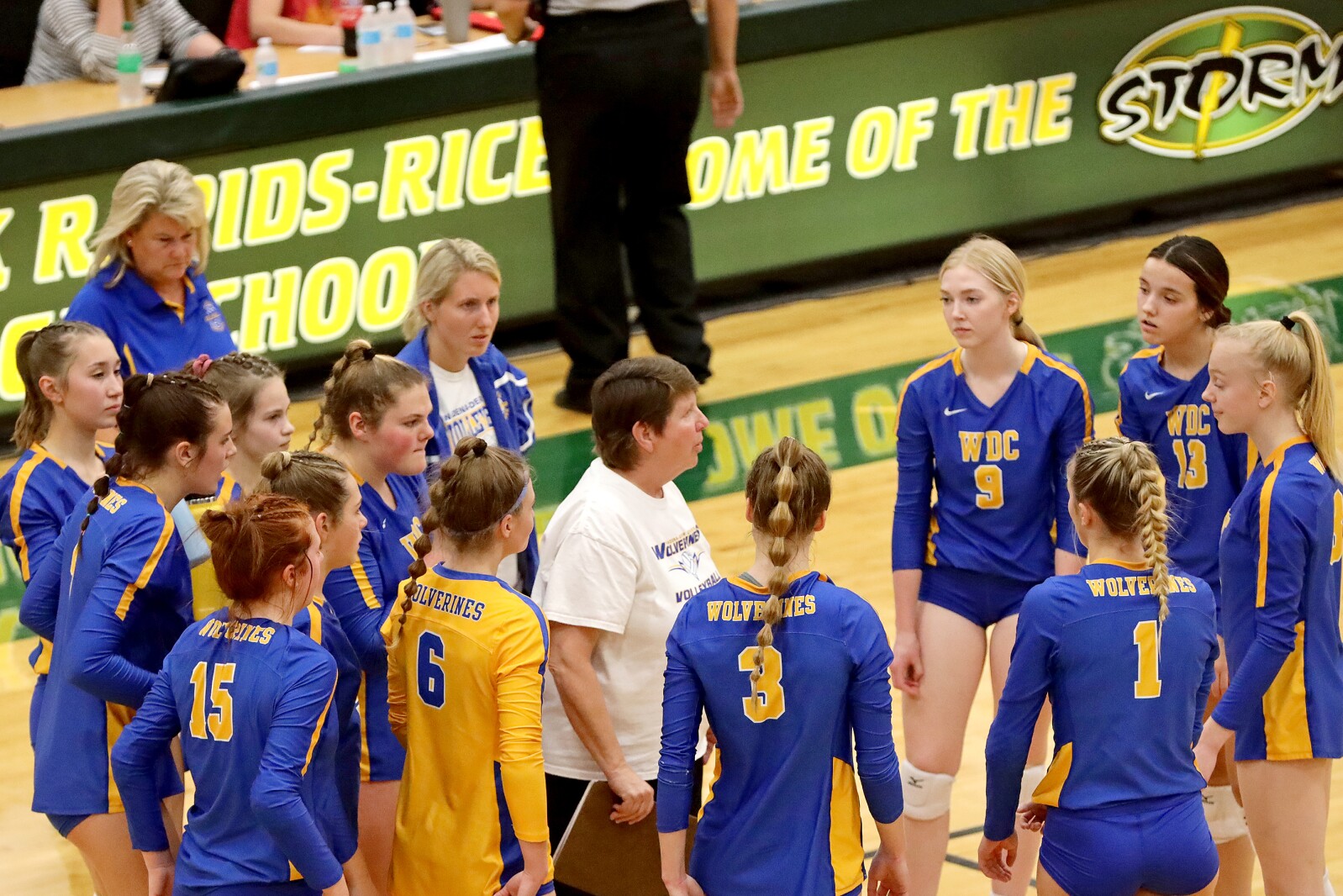 Pequot Lakes vs Wadena-Deer Creek Volleyball on Thursday, Nov. 3, 2022, in Sauk Rapids.