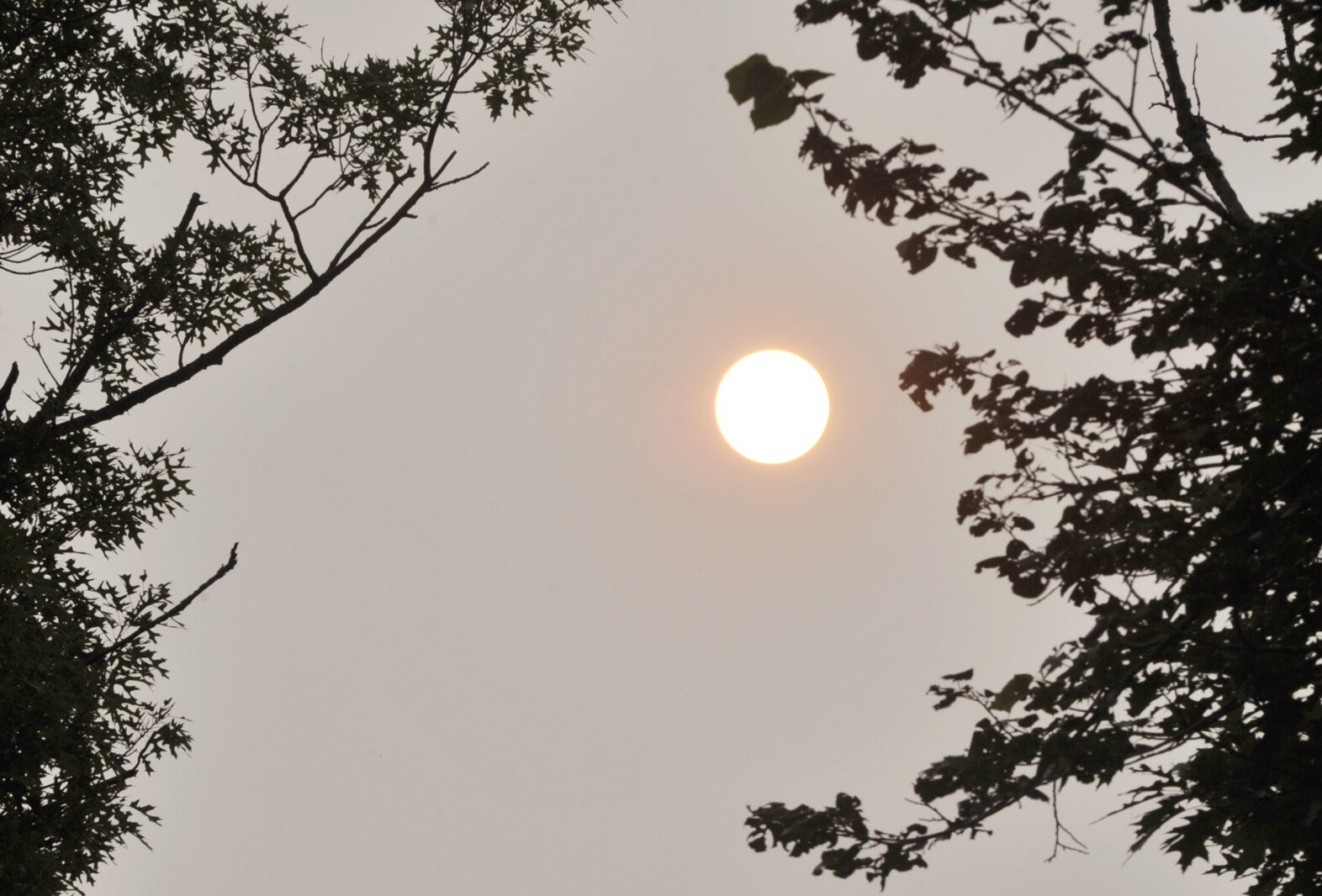 An Echo Press Editorial: How to protect yourself from wildfire haze