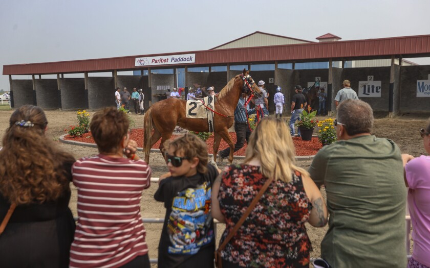 071325.s.ff.ND.HorsePark.5