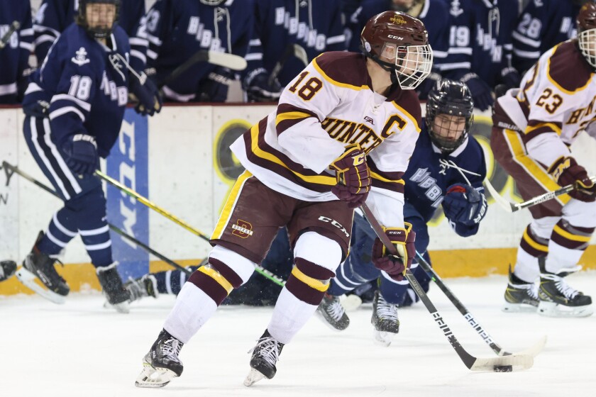 Denfeld delivers a shutout against Hibbing to advance to Section 7A championship game