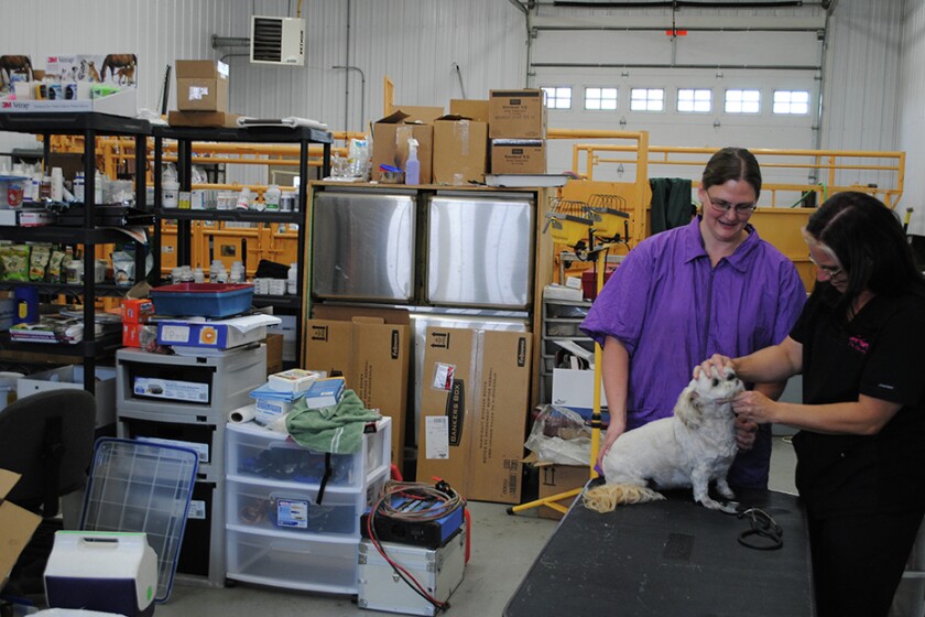 1002675+080114-AppletonVet1.jpg