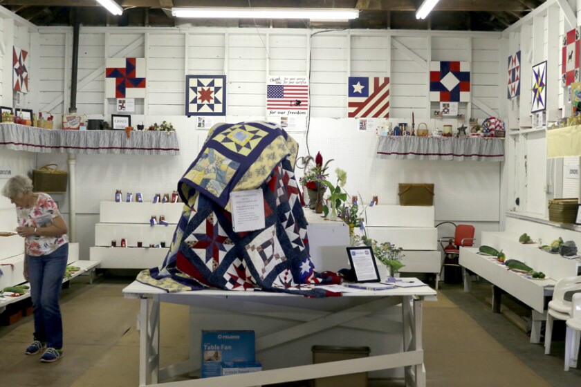 072118.N.DG_. Osceola County Fair 18 web.jpg