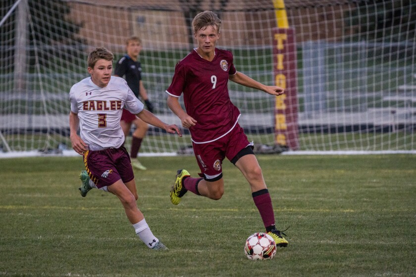 Stewartville, Dover-Eyota boys soccer