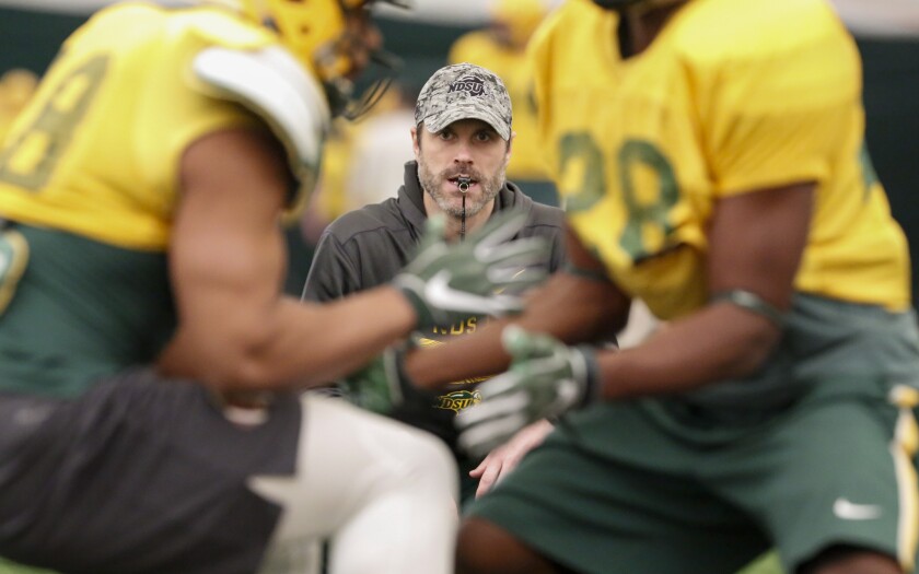 DanLarsonBison.jpg