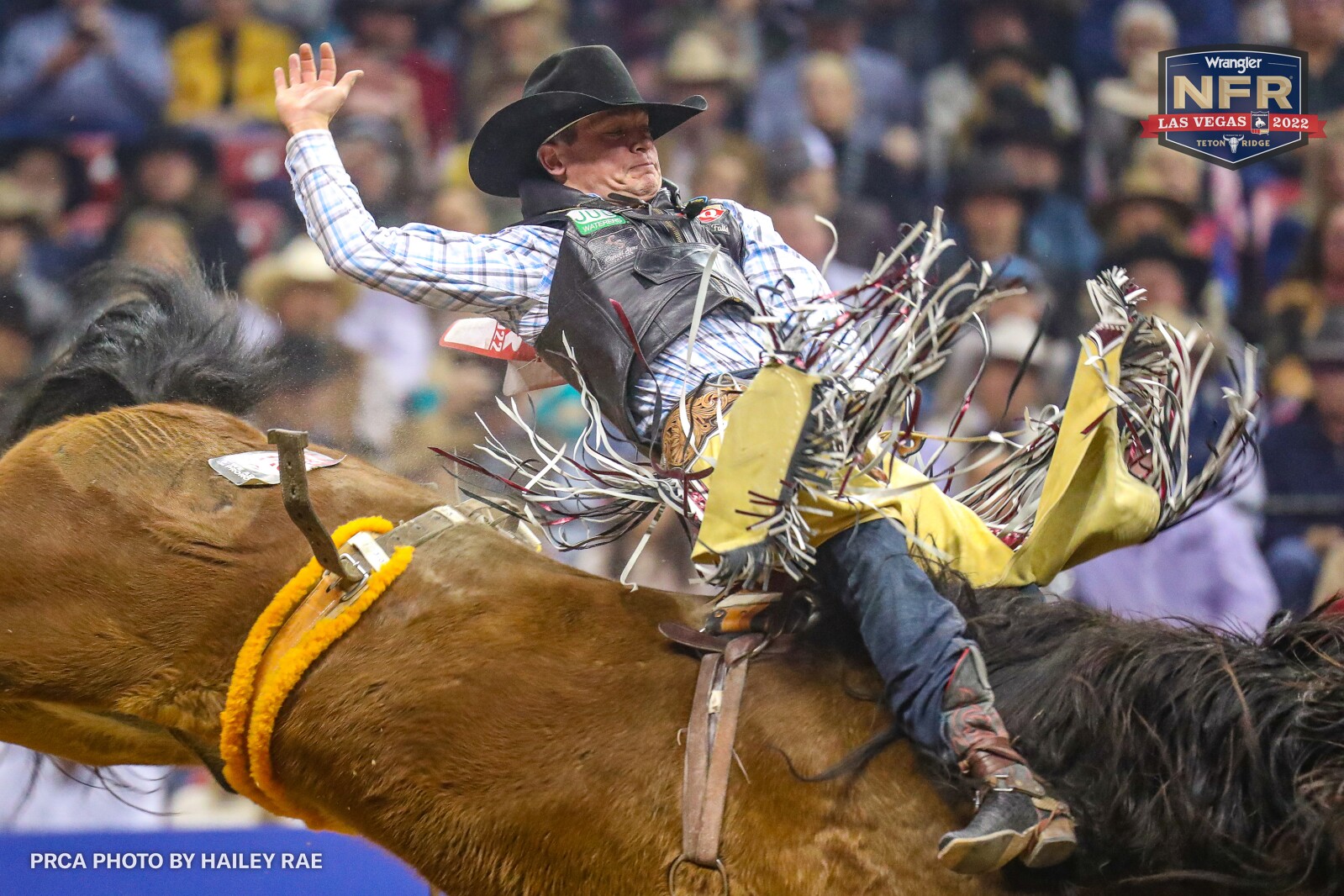 Pro rodeo: Aus wraps NFR with top finish - West Central Tribune | News ...