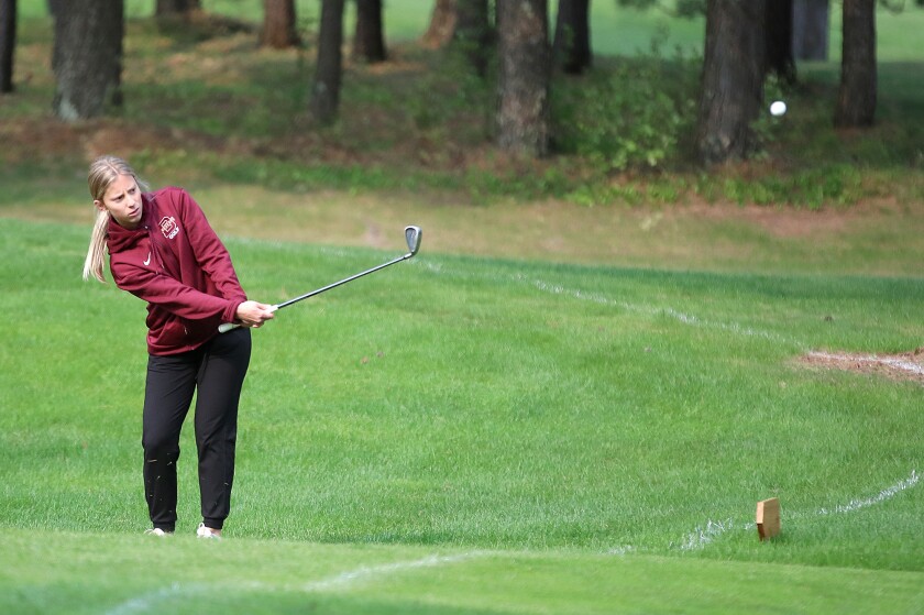 Golfers chips on green.