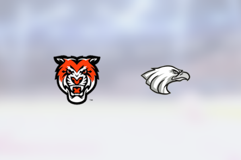 img_500214099_rinklive.png