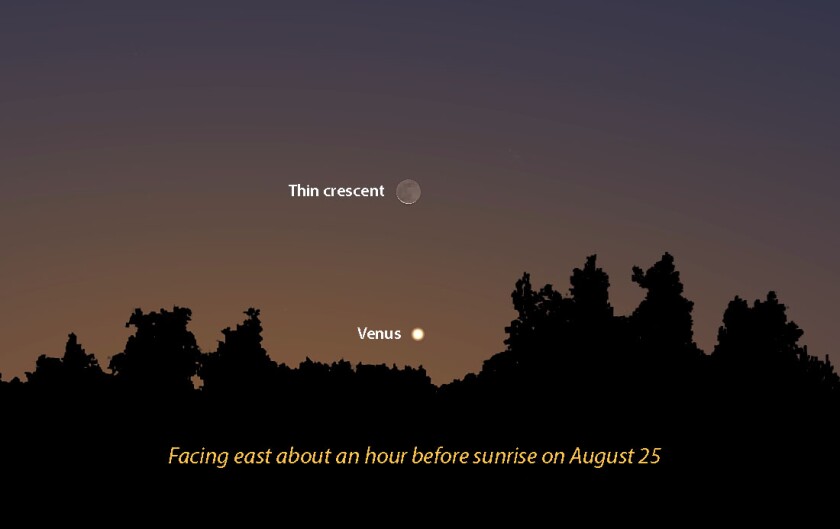 Venus and crescent