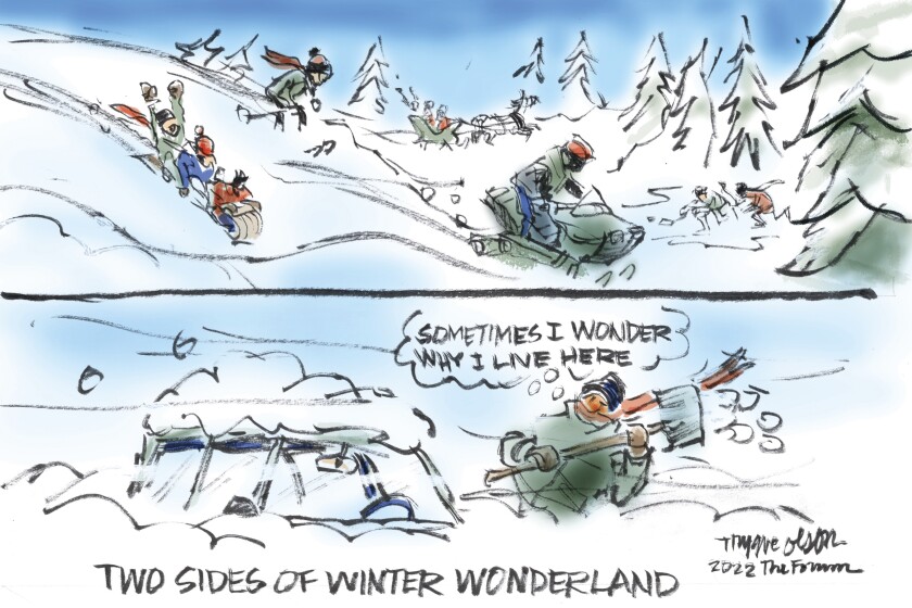010822.O.FF.OLSONCARTOON