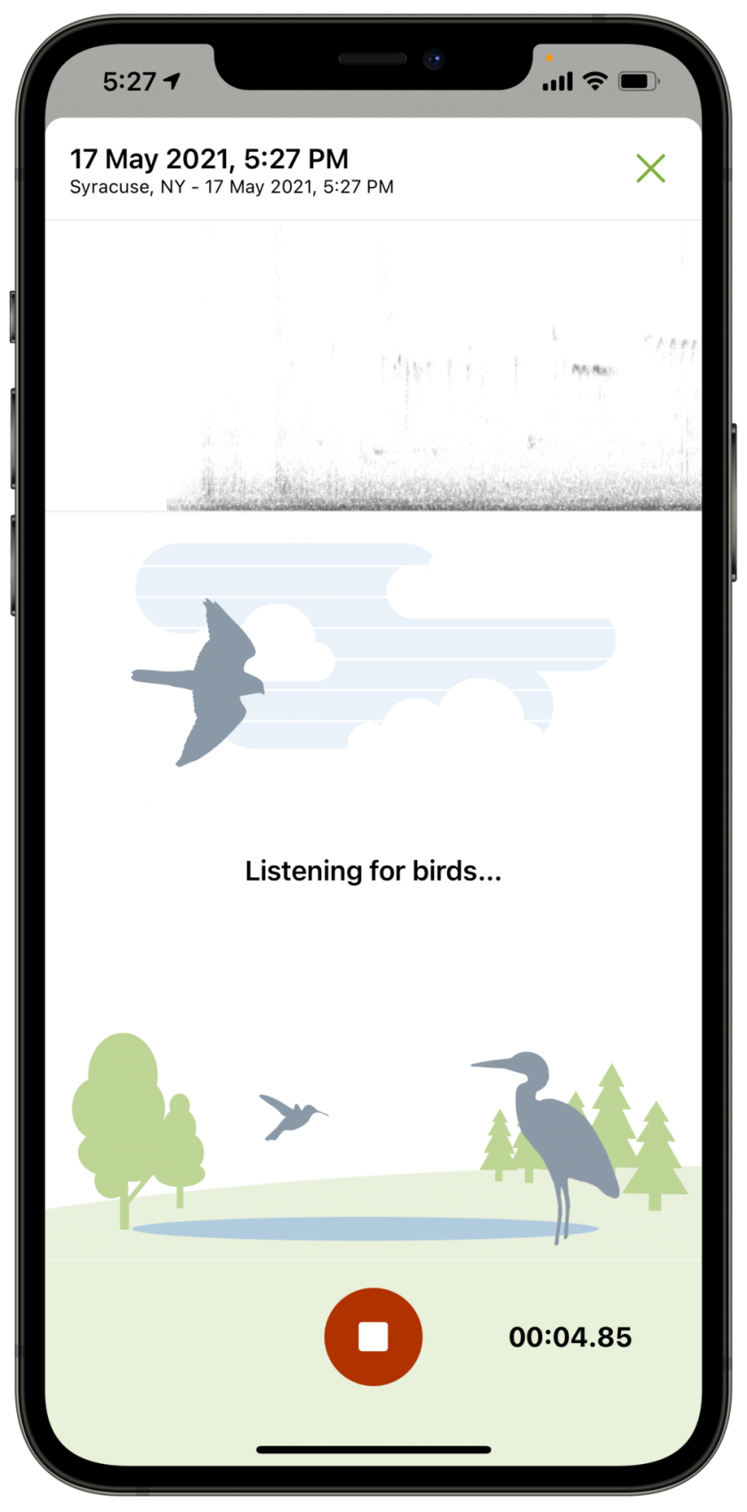 Merlin Bird ID app