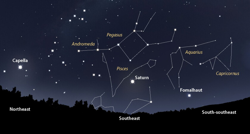 Fall stars