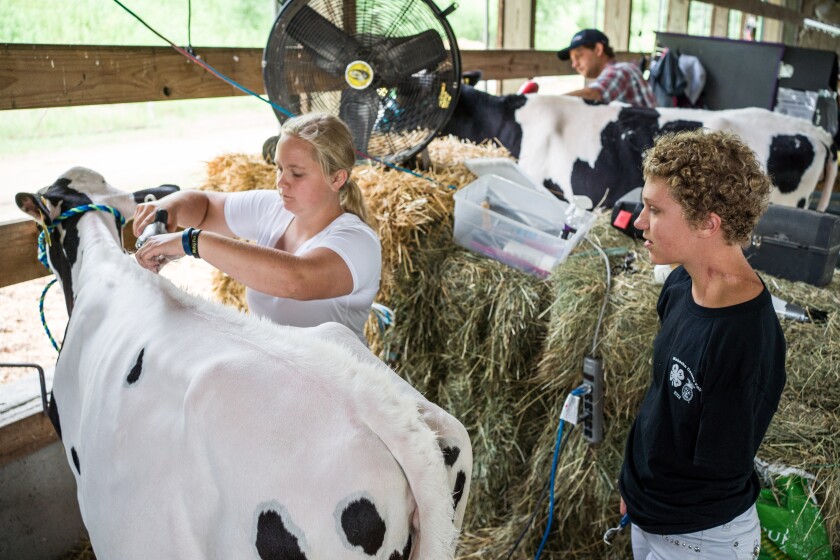 Wabasha County Fair