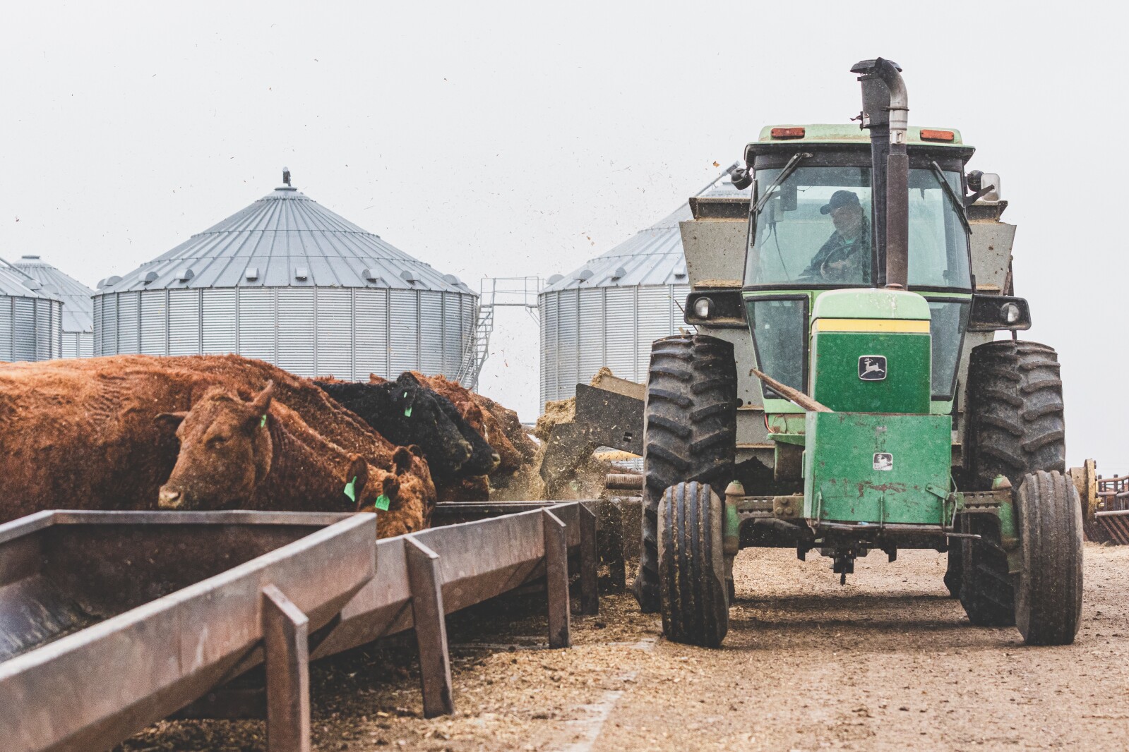 GronsethCattleFarm-19.jpg
