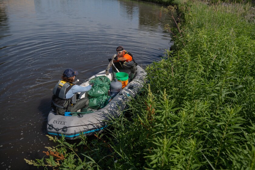 Downtown Rochester River Cleanup